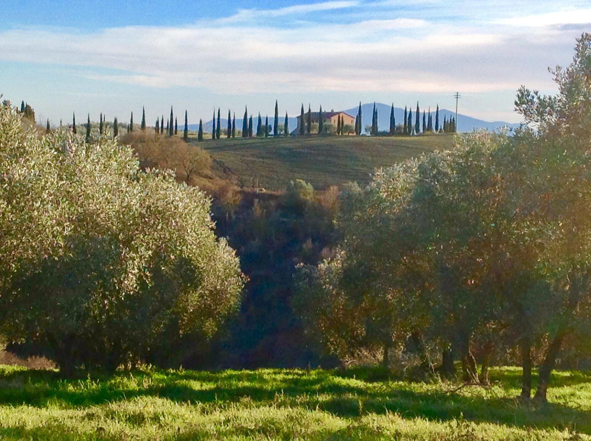 Podere Fornaci Ашяно Екстер'єр фото